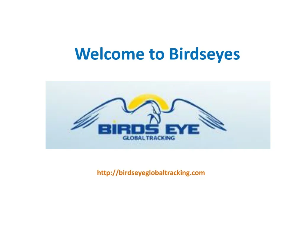 welcome to birdseyes