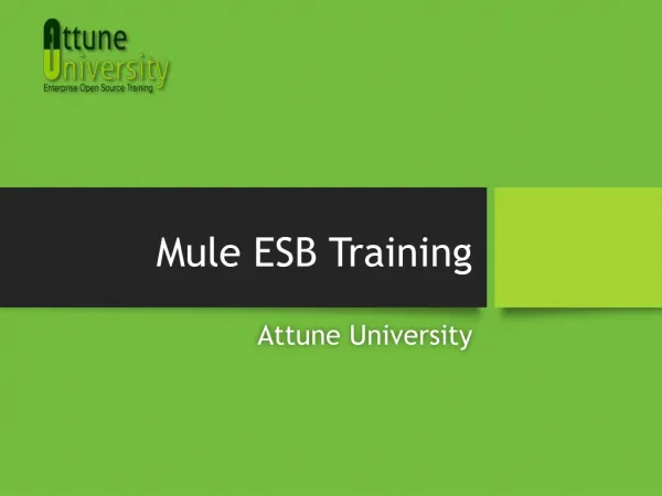 Mule ESB Training