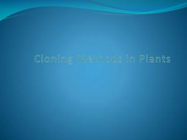 Cloning Methods in Plants