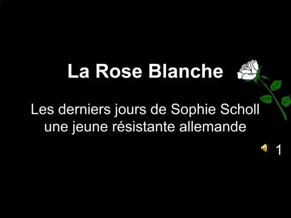 La Rose Blanche Les derniers jours de Sophie Scholl une jeune r sistante allemande