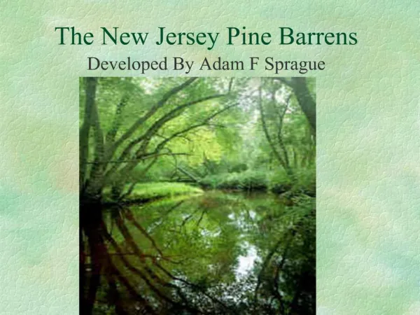 The New Jersey Pine Barrens
