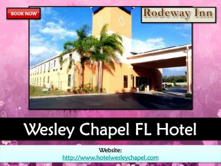 wesley chapel fl hotel