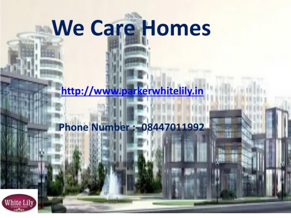 Parker White Lily Sonepat – Call 844-701-1992