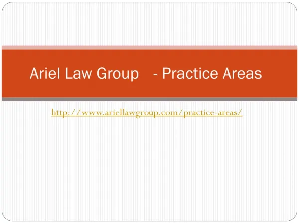 Practice areas - Ariel Law Group