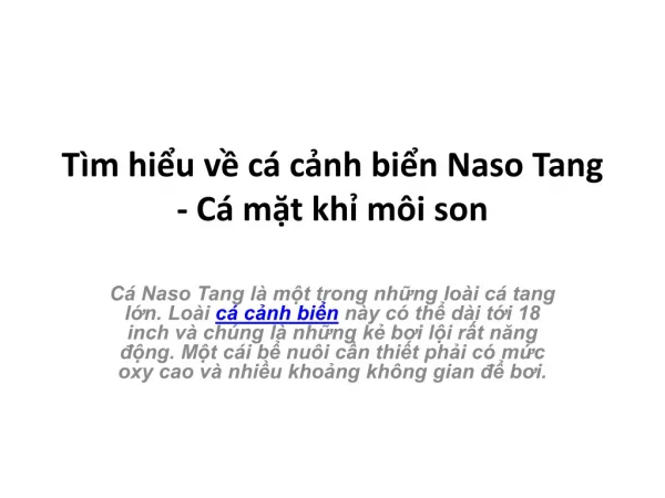 t m hi u v c c nh bi n naso tang c m t kh m i son