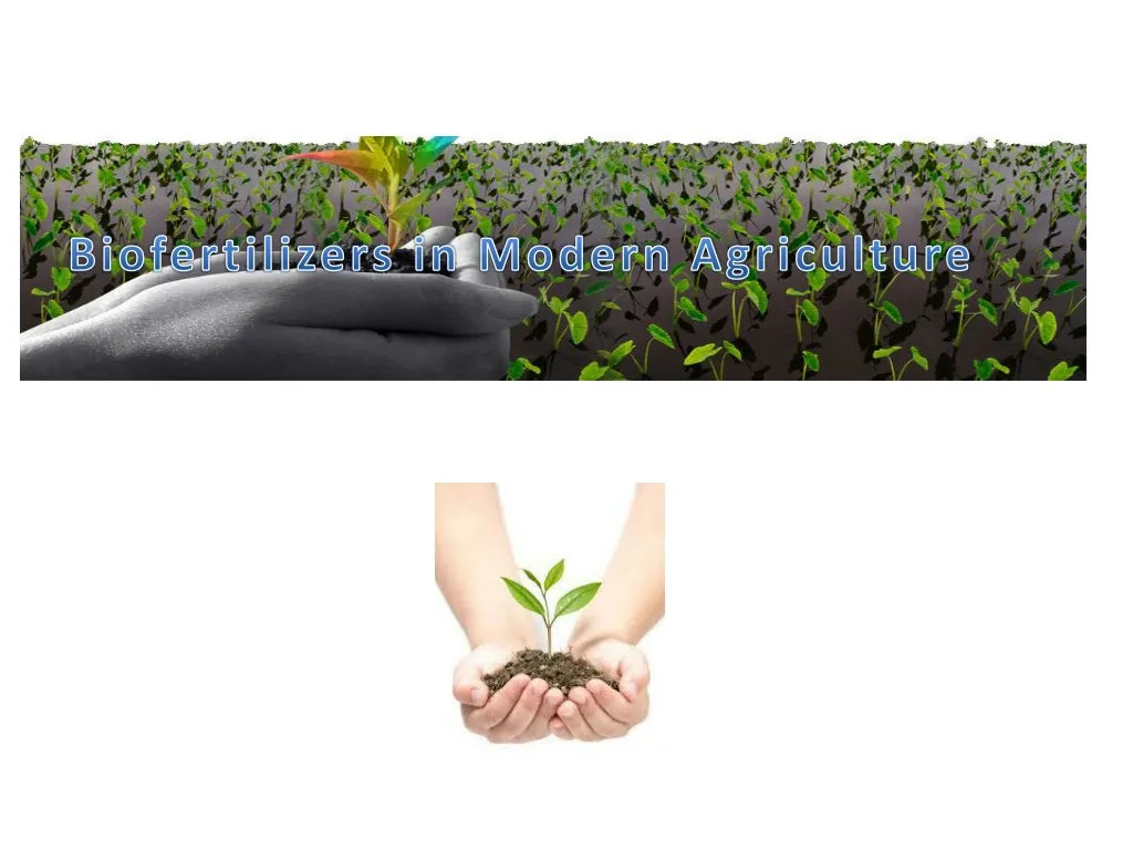 biofertilizers in modern agriculture