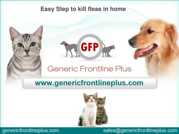 Easy Step to kill fleas in home