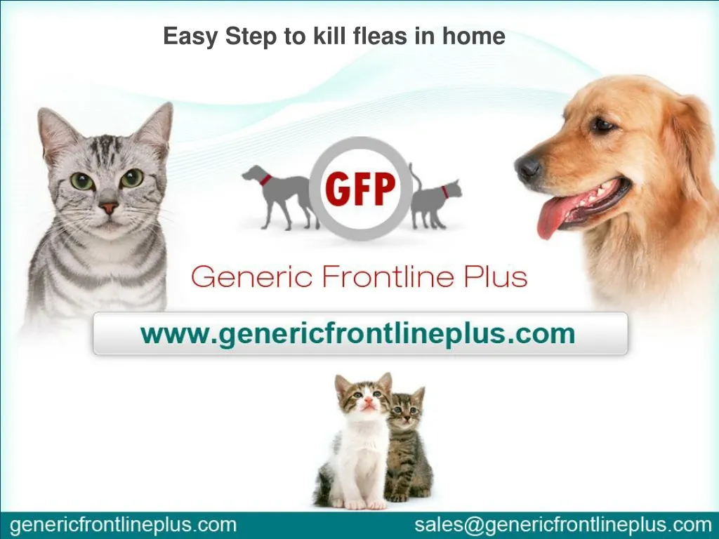 easy step to kill fleas in home