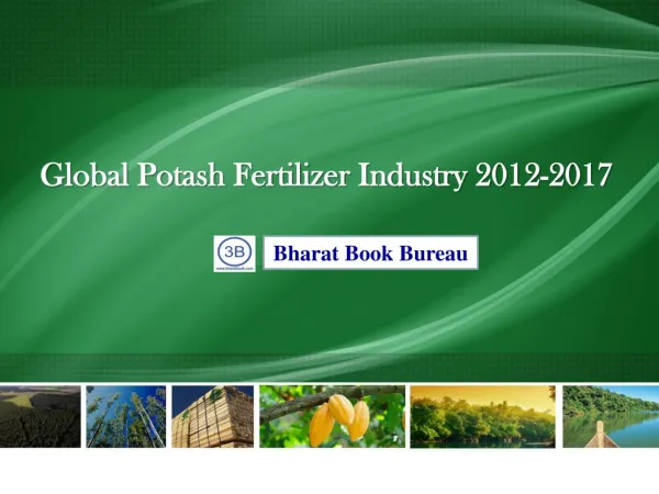 Global Potash Fertilizer Industry 2012-2017: Trend, Profit,