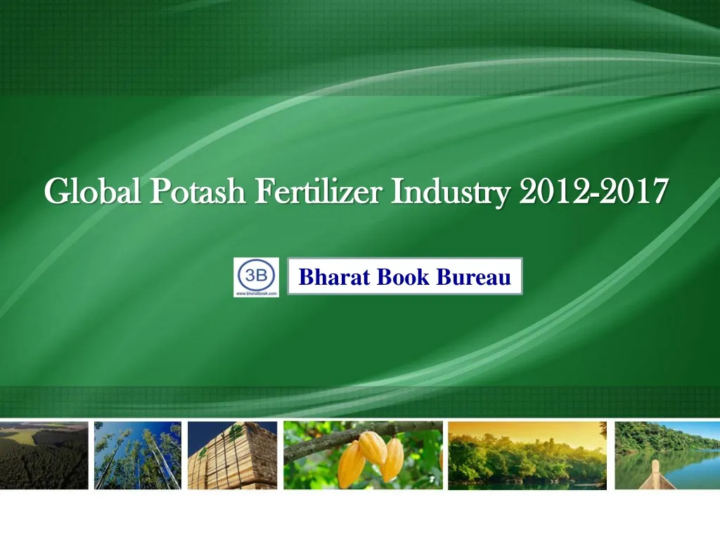 global potash fertilizer industry 2012 2017