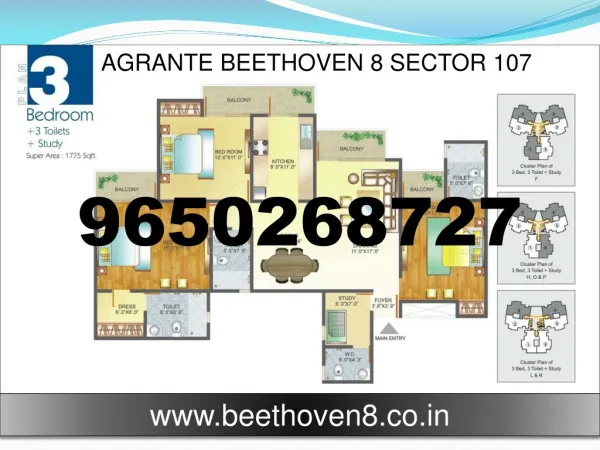 Agrante Beethoven @ 9650268727