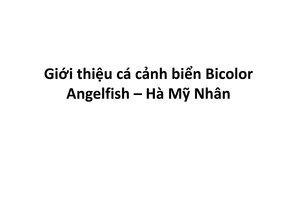 gi i thi u c c nh bi n bicolor angelfish h m nh n