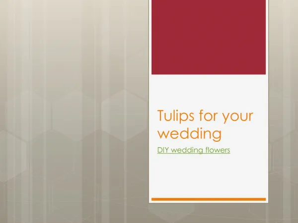 Tulips for your wedding