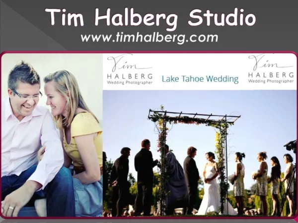 Tim Halberg Studio
