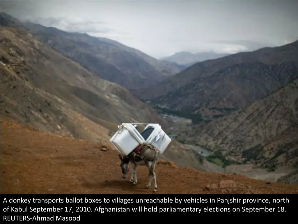 a donkey transports ballot boxes to villages