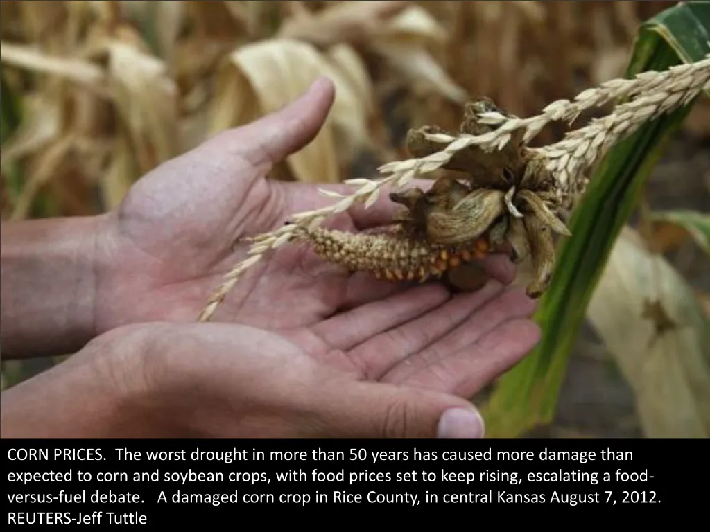 corn prices the worst drought in more than
