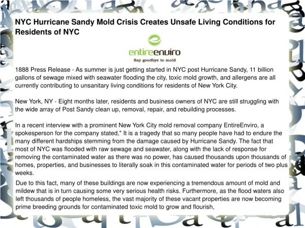 NYC Hurricane Sandy Mold Crisis Creates Unsafe Living Condit