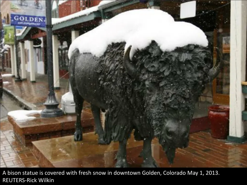 a bison statue is covered with fresh snow