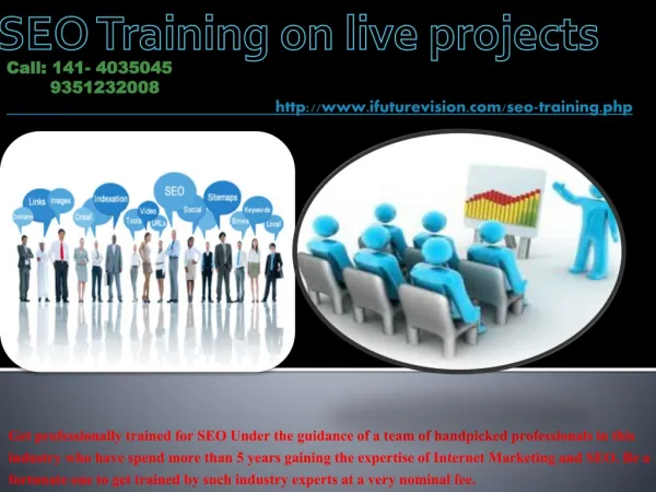 SEO Training on live Projects