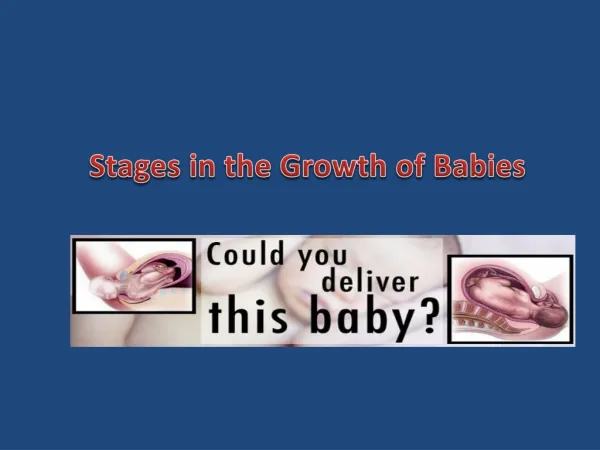 Stages in the Growth of Babies