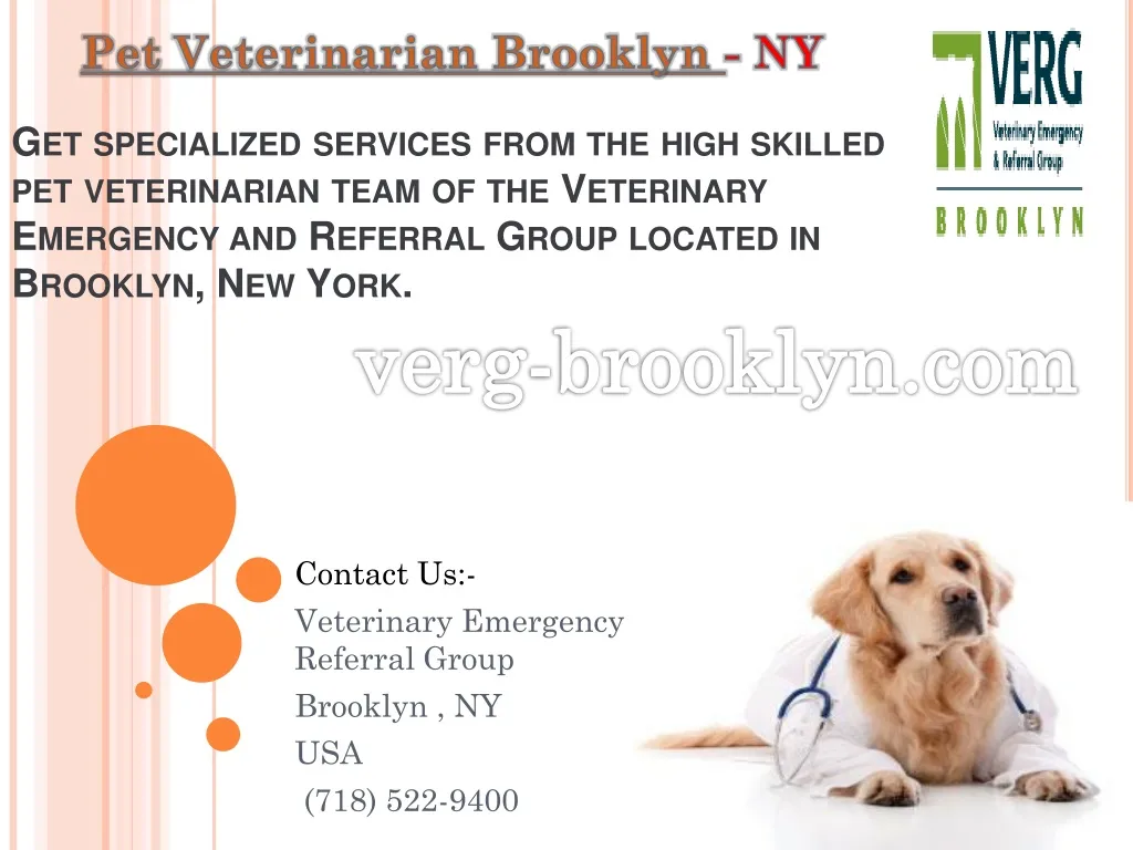 contact us veterinary emergency referral group brooklyn ny usa 718 522 9400