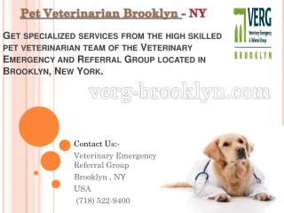 Pet Veterinarian Brooklyn, New York