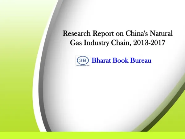 Research Report on China's Natural Gas Industry Chain, 2013-
