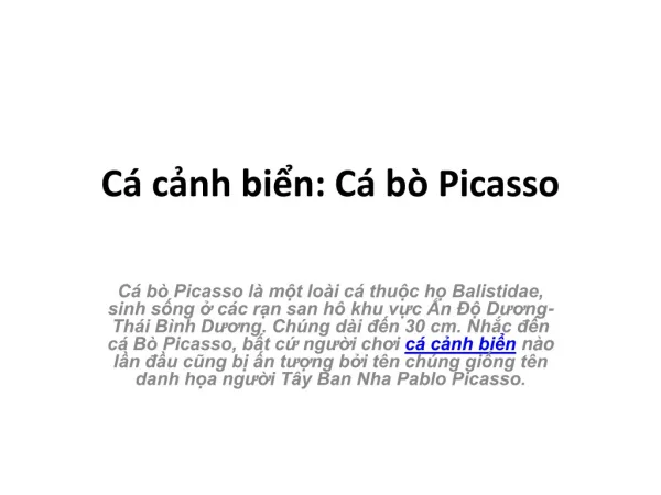 c c nh bi n c b picasso