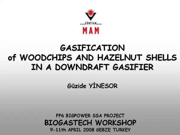 GASIFICATION of WOODCHIPS AND HAZELNUT SHELLS IN A DOWNDRAFT GASIFIER G zide YINESOR
