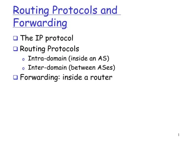 Routing Protocols and Forwarding