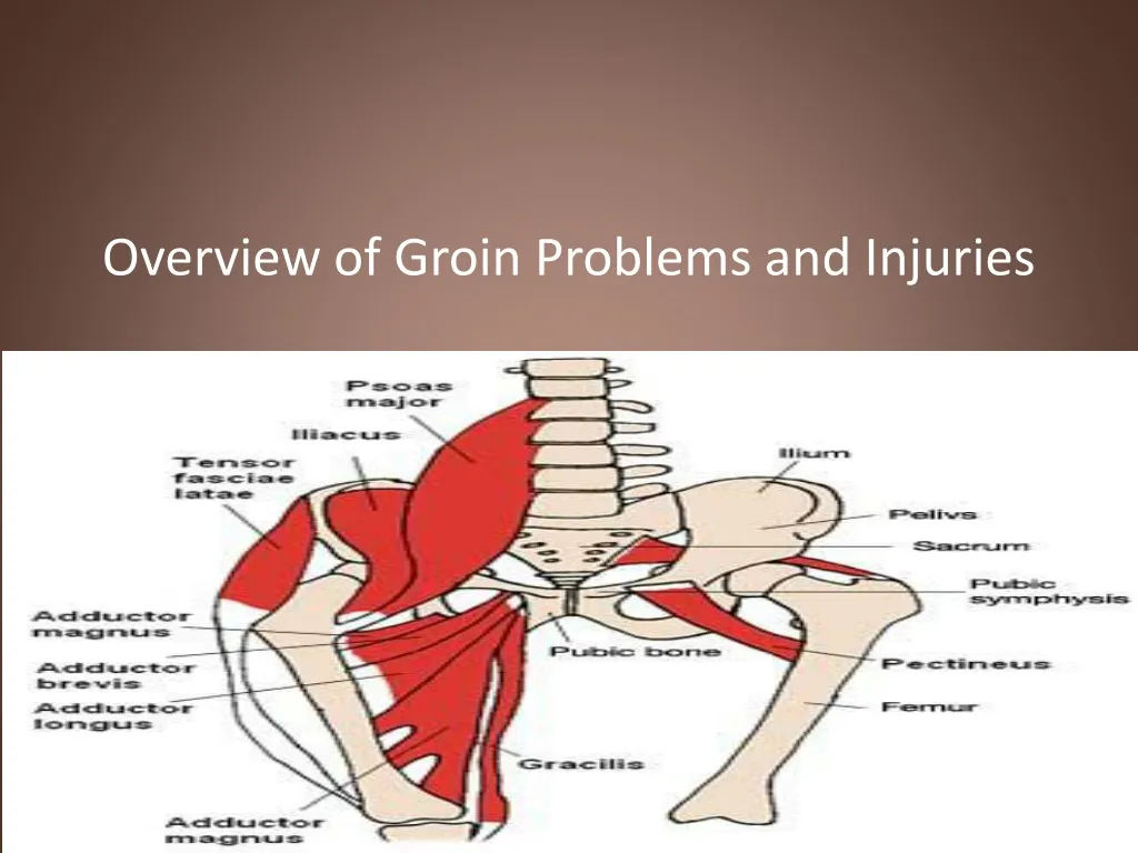 overview of groin problems and injuries