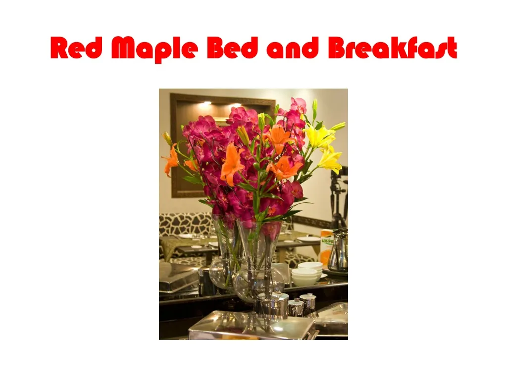 red maple bed and breakfast