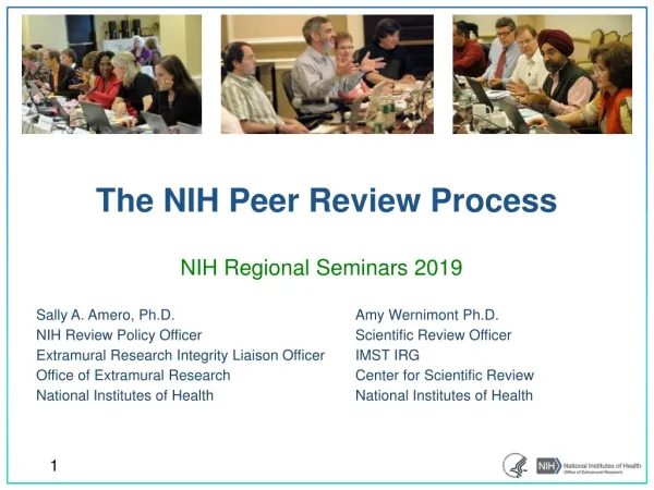 The NIH peer review process