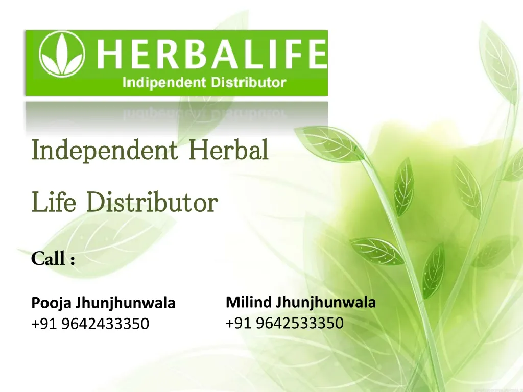 independent herbal life distributor