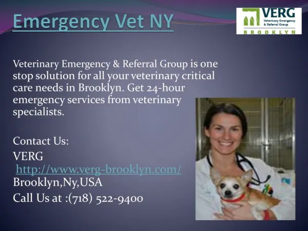 Emergency Vet NY