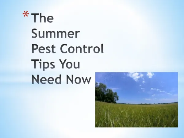 The Summer Pest Control Tips You Need Now