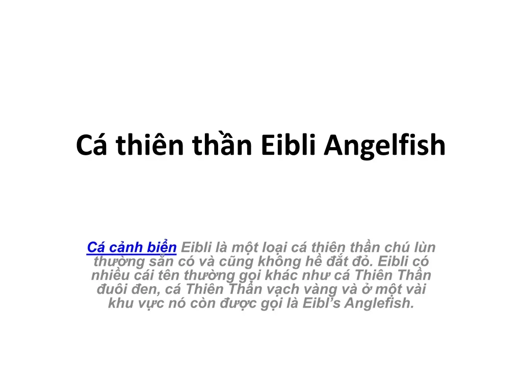 c thi n th n eibli angelfish