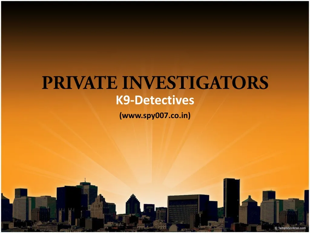 private investigators