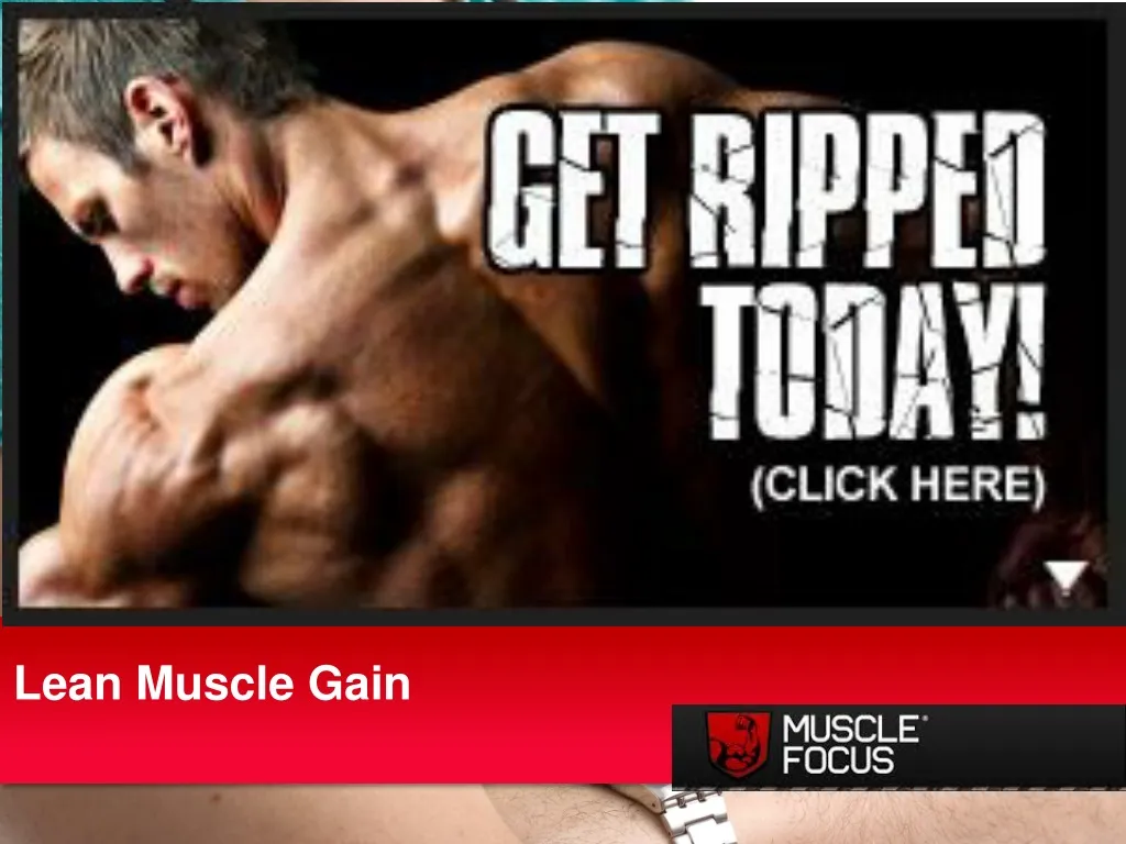 lean muscle gain