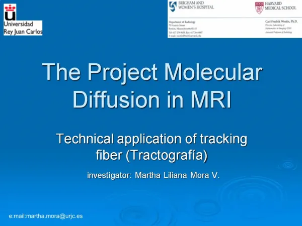 The Project Molecular Diffusion in MRI