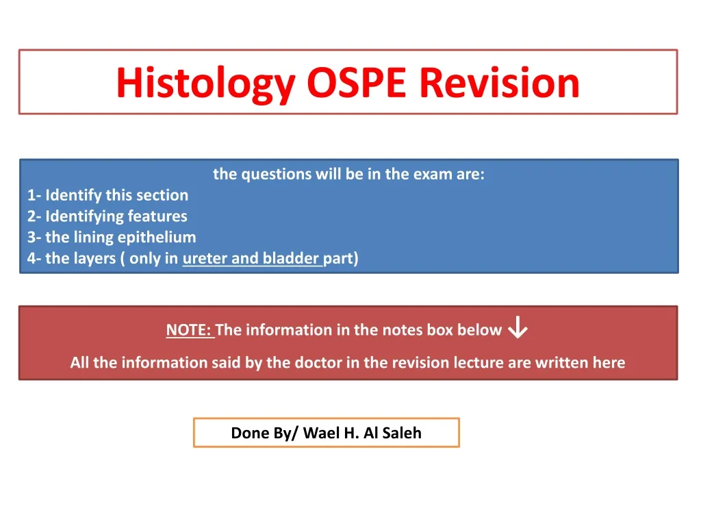 histology ospe revision