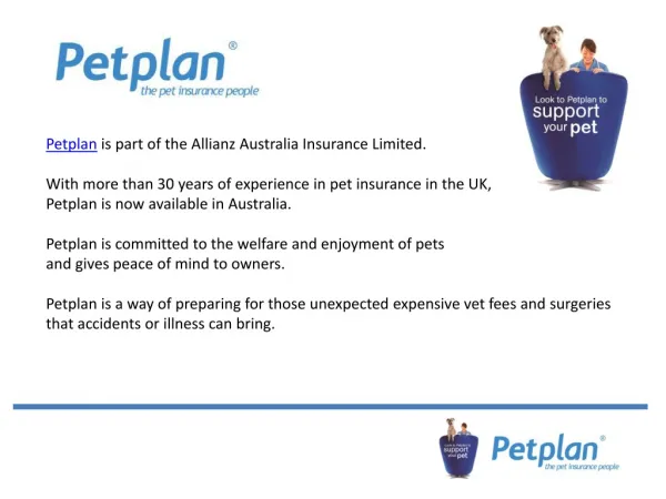 Why pet insurance is a must for your pet?