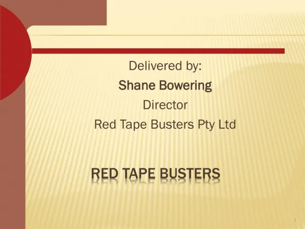 Red Tape Busters offers Tender Writing Services
