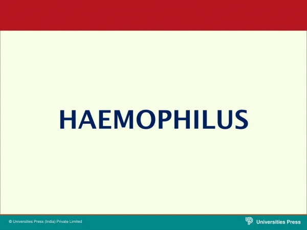 Haemophilus