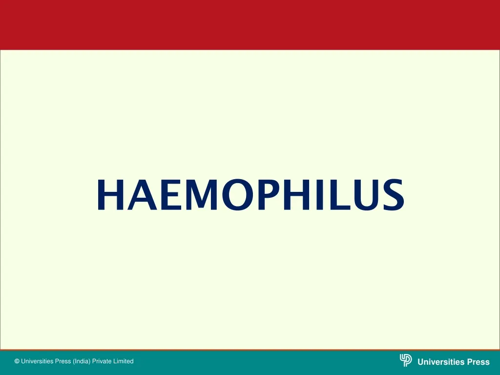 haemophilus