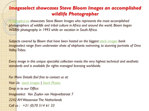 Imageselect showcases Steve Bloom Images an accomplished wil
