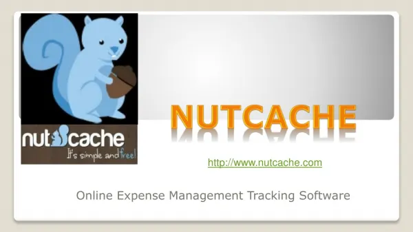 Nutcache - Best And Free Reporting Application