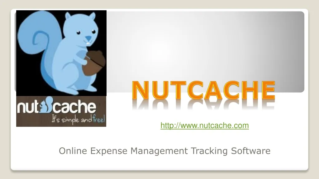 online expense management tracking software