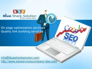 Preeminent SEO services for strengthening your online presen