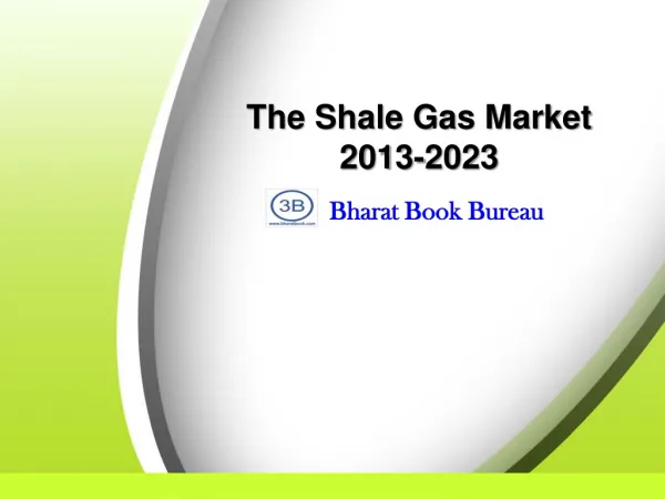 The Shale Gas Market 2013-2023